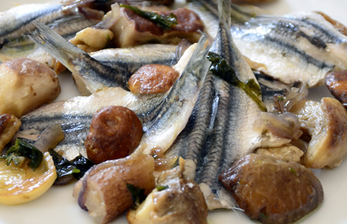 Acciugata di Porcini: Un Antipasto Delizioso da Provare Assolutamente